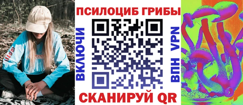 Галлюциногенные грибы Psilocybe  Пудож 